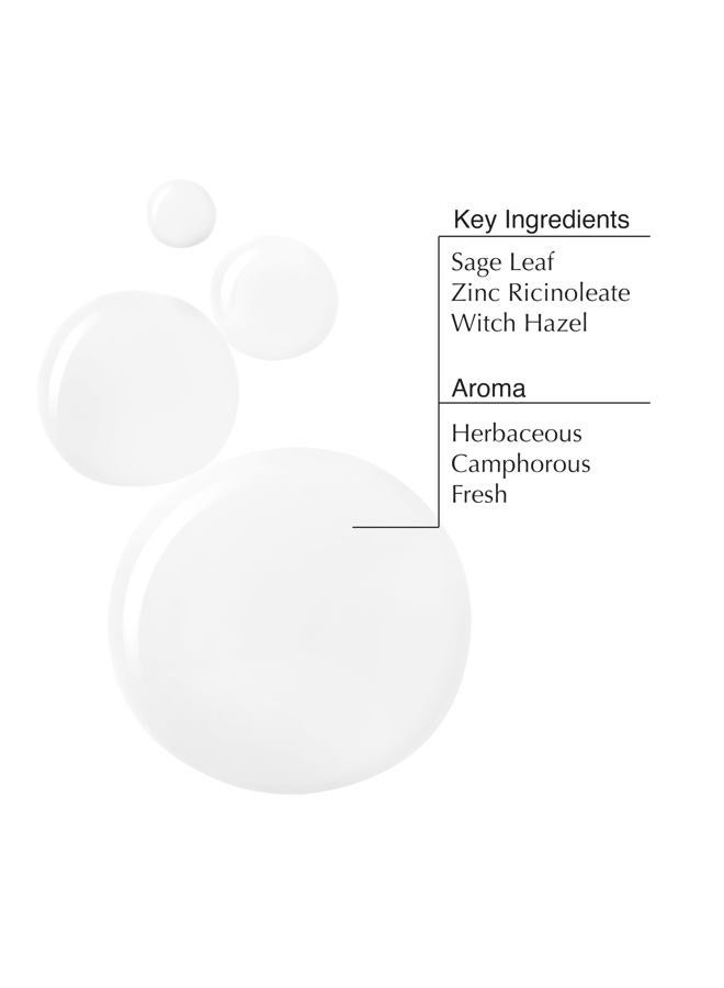 Herbal Deodorant Roll on | Alcohol Free | Reduces + Masks Underarm Odor | Sage Leaf, Zinc Ricinoleate, Wasabi Extract | 1.7 oz / 50mL - view 3